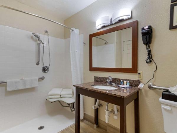 Comfort Inn & Suites Near Six Flags & Medical Center : photo 4 de la chambre suite lit king-size - accessible aux personnes à mobilité réduite - non-fumeurs