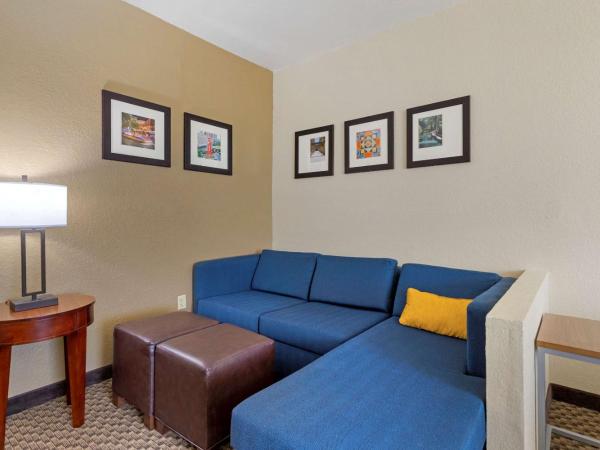 Comfort Inn & Suites Near Six Flags & Medical Center : photo 5 de la chambre suite lit king-size – non-fumeurs