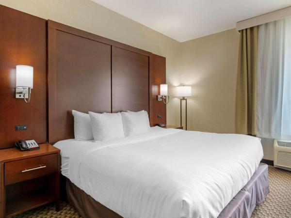 Comfort Inn & Suites Near Six Flags & Medical Center : photo 2 de la chambre chambre lit king-size - non-fumeurs