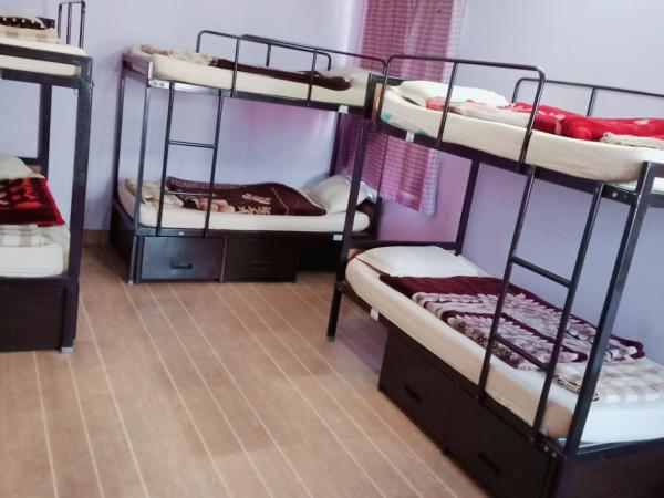 Monkey Bunky-3Monkeys Backpacker's Hostel : photo 1 de la chambre lit dans dortoir 6 lits