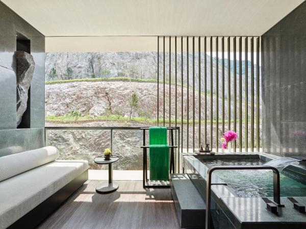 Banyan Tree Nanjing Garden Expo : photo 5 de la chambre chambre lits jumeaux avec balcon