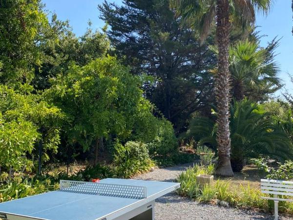 Carpe Diem paradise : photo 3 de la chambre studio avec terrasse