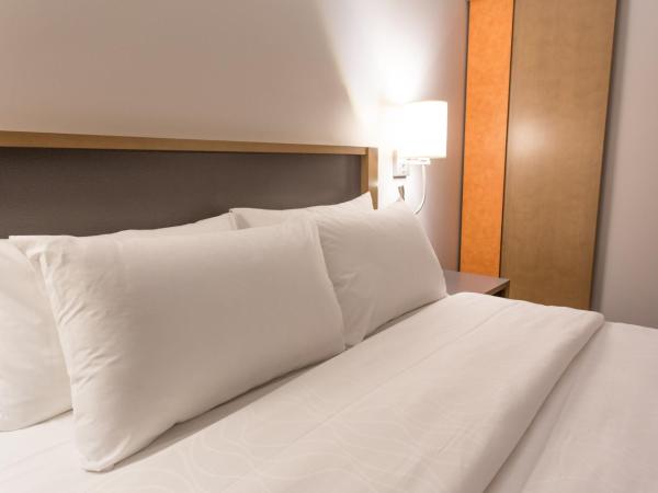 Hôtel Cofortel : photo 5 de la chambre chambre lit queen-size - rez-de-chaussée