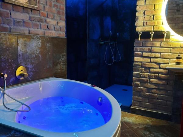 Hotel Agit Congress&Spa : photo 7 de la chambre suite deluxe avec baignoire spa