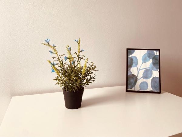 Pokoje Gajowa : photo 2 de la chambre chambre lits jumeaux avec salle de bains commune