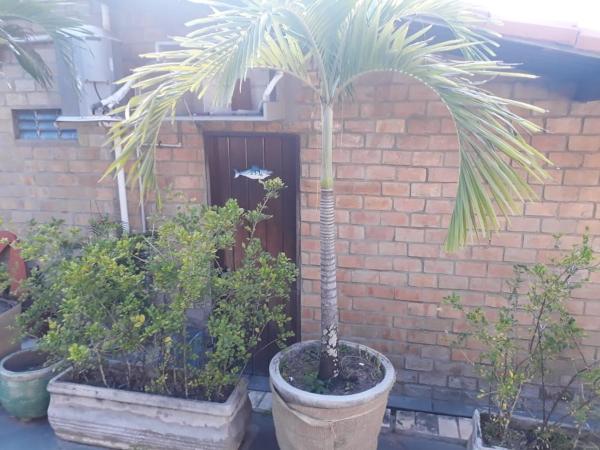 Hotel Tubarão : photo 6 de la chambre chambre quadruple