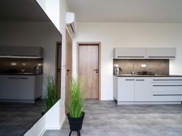 Apartmány Venuše : photo 2 de la chambre suite 1 chambre