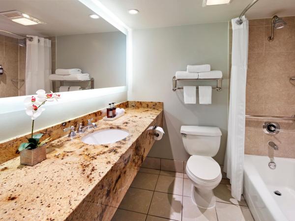 Carlyle Inn : photo 5 de la chambre chambre lit king-size - non-fumeurs