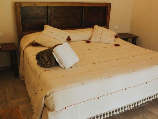 Xiknal Cozumel : photo 3 de la chambre chambre double standard