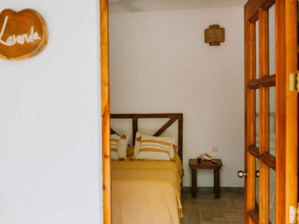 Xiknal Cozumel : photo 4 de la chambre chambre double standard