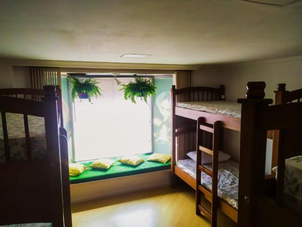 Social Hostel Café e Bar : photo 2 de la chambre lit dans dortoir pour femmes de 6 lits
