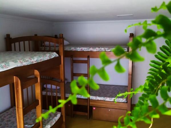 Social Hostel Café e Bar : photo 3 de la chambre lit dans dortoir pour femmes de 6 lits