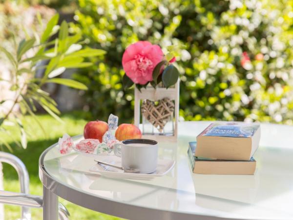 Smart-HOTEL MINUSIO, a Benvenuti Hotel : photo 3 de la chambre chambre double avec jardin