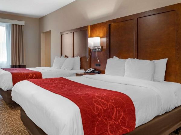Comfort Suites Columbus Airport : photo 1 de la chambre suite lit queen-size - accessible aux personnes à mobilité réduite/non-fumeurs