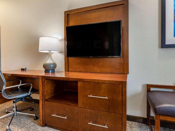 Comfort Suites Columbus Airport : photo 4 de la chambre suite lit king-size – non-fumeurs