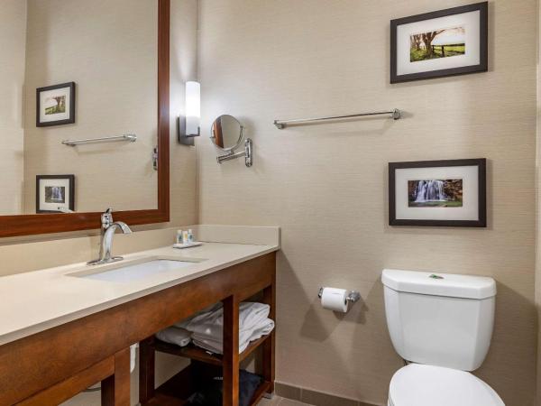 Comfort Suites Columbus Airport : photo 1 de la chambre chambre 2 lits queen-size - non-fumeurs