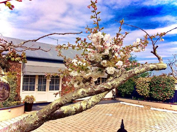 Kurrajong House : photo 10 de la chambre  rose cottage with no breakfast