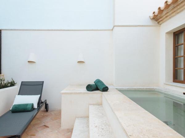 Casa del Rey Sabio : photo 5 de la chambre suite avec piscine privée