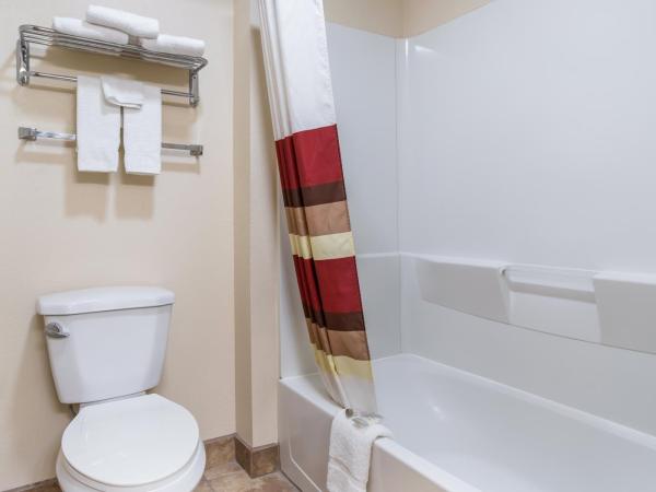 Red Roof Inn Albuquerque - Midtown : photo 6 de la chambre chambre lit king-size supérieure - non-fumeurs