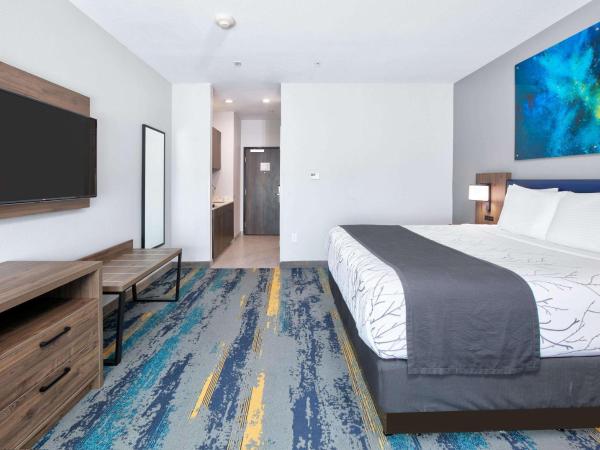 La Quinta Inn & Suites by Wyndham Dallas/Fairpark : photo 3 de la chambre chambre lit king-size premier - non-fumeurs