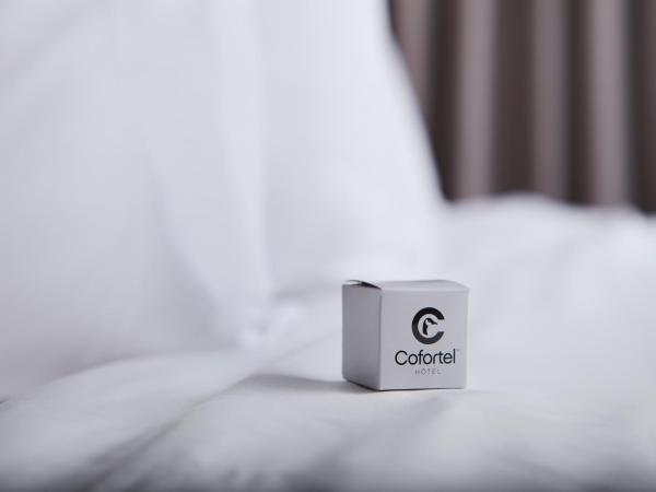 Hôtel Cofortel : photo 2 de la chambre suite - 2ème Étage 