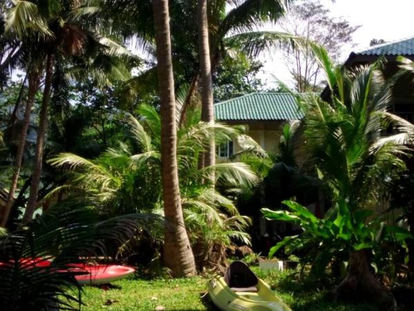 Paradise Palms : photo 8 de la chambre bungalow - vue sur mer 