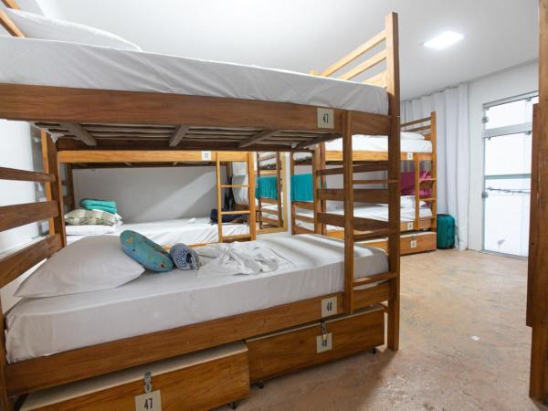 Manhatã Hostel : photo 1 de la chambre lit superposé dans dortoir pour femmes 