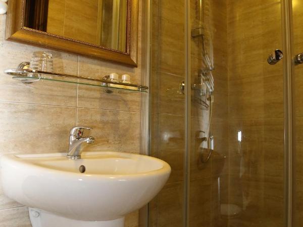 Hotel Petite Fleur - Adults only ! Air-Conditioning ! : photo 9 de la chambre chambre lits jumeaux Économique avec climatisation