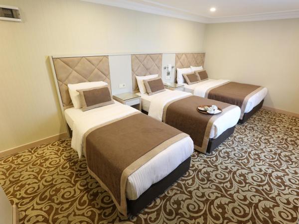 Alpinn Hotel Istanbul : photo 10 de la chambre chambre triple