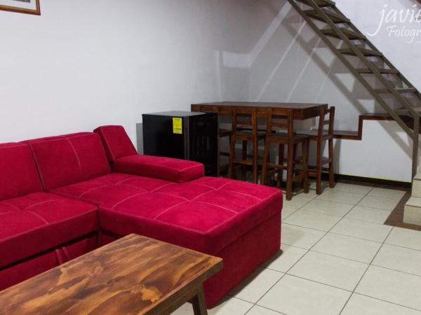 LOFTS en Cuernavaca con alberca climatizada : photo 8 de la chambre appartement avec terrasse