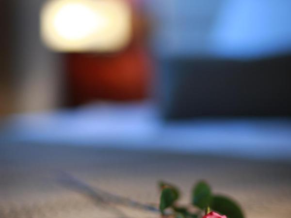 Hotel Aristos : photo 5 de la chambre chambre deluxe double ou lits jumeaux