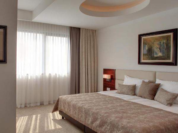 Hotel Aristos : photo 1 de la chambre suite deluxe