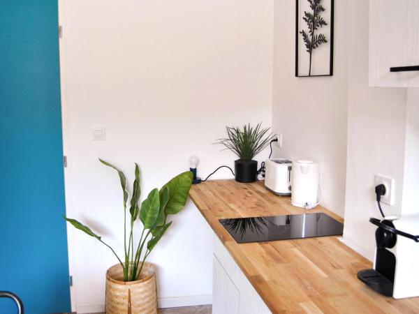 Hôtel le Thurot : photo 3 de la chambre appartement standard