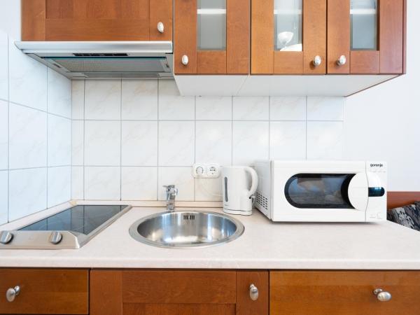 Budapest Panorama Central : photo 4 de la chambre studio avec baignoire spa