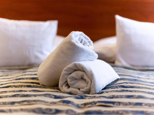 Budapest Panorama Central : photo 8 de la chambre chambre double standard