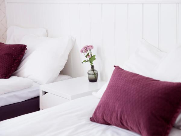 STF Hotel Zinkensdamm : photo 6 de la chambre standard