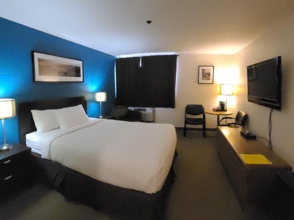 Roadking Inns Motel : photo 4 de la chambre chambre lit queen-size - animaux domestiques non admis