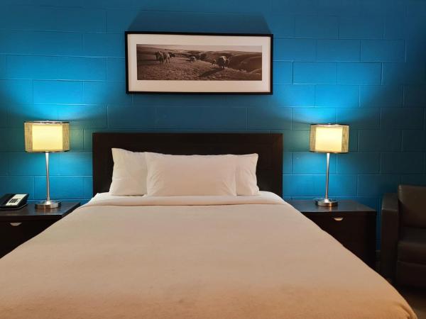 Roadking Inns Motel : photo 5 de la chambre chambre lit queen-size - animaux domestiques non admis