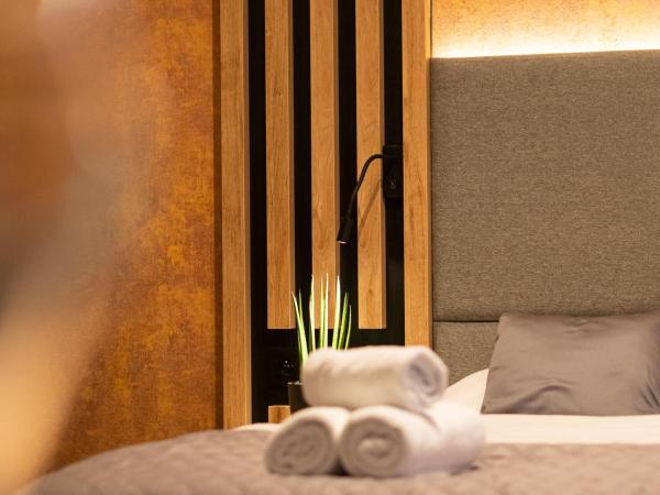 Hotel JeštěBrno : photo 10 de la chambre chambre familiale avec terrasse et accès au spa