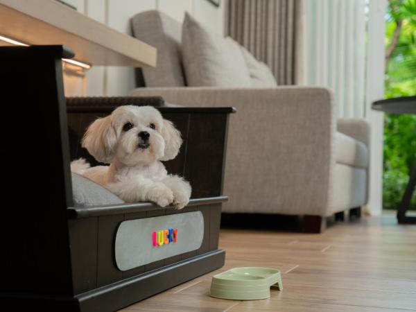 Hyatt Regency Hua Hin : photo 1 de la chambre hébergement deluxe avec 2 lits jumeaux - animaux domestiques admis