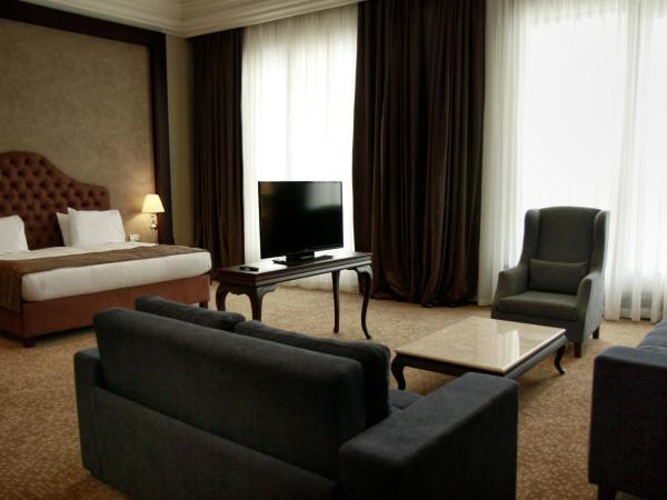 Vialand Palace Hotel : photo 5 de la chambre suite lune de miel