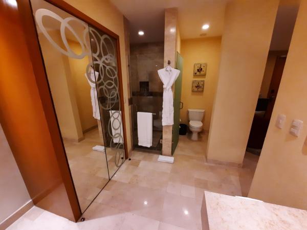 Suites at Garza Blanca Preserve Resort & Spa : photo 10 de la chambre suite junior panorama