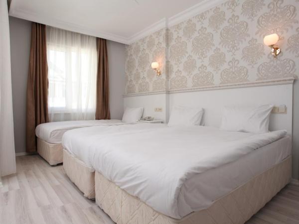 Golden Spark : photo 1 de la chambre chambre triple avec balcon