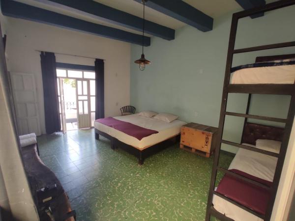 Blue Bicycle House : photo 1 de la chambre suite junior avec balcon