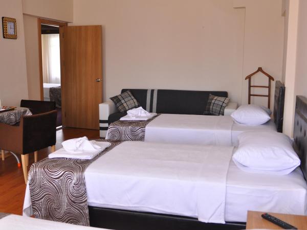 Emsa Otel Maltepedeki Eviniz : photo 5 de la chambre chambre lits jumeaux standard avec balcon