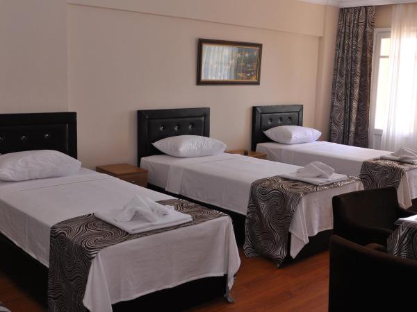 Emsa Otel Maltepedeki Eviniz : photo 4 de la chambre chambre quadruple standard avec balcon