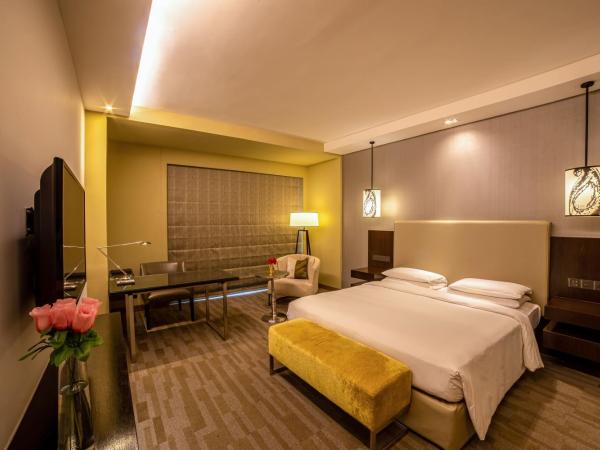 Hyatt Regency Ahmedabad : photo 7 de la chambre chambre lit king-size - vue sur rivière