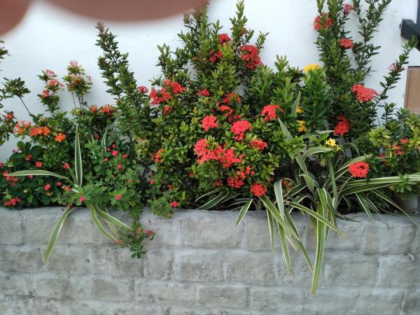 Pousada Terra de Minas : photo 8 de la chambre chambre double