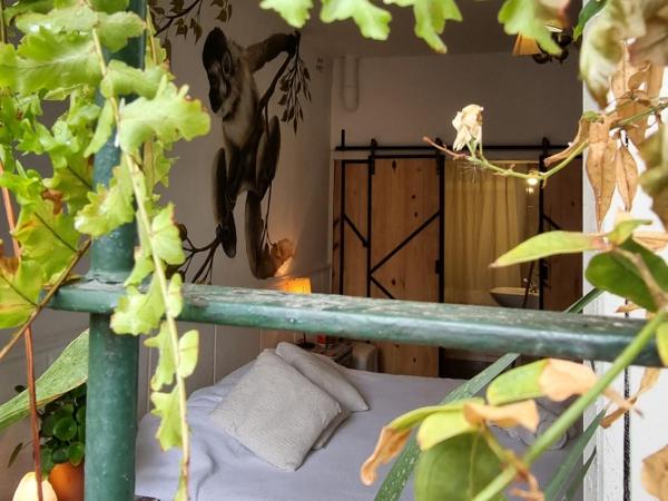 Yunga : photo 6 de la chambre chambre double ou lits jumeaux