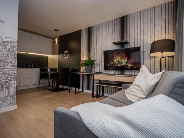InPoint Apartments G13 near Old Town & Kazimierz : photo 5 de la chambre studio lit king-size avec canapé-lit